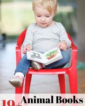 19+ animal books for toddlers