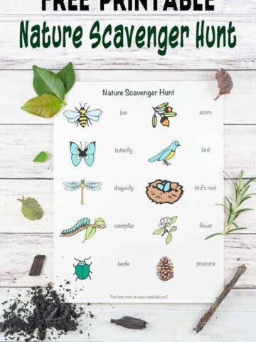 free-printable-nature-scavenger-hunt-for-young-children