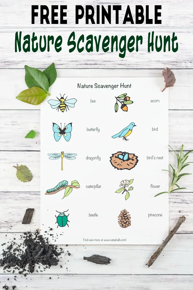 summer nature scavenger hunt