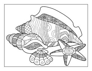seashell-coloring-page
