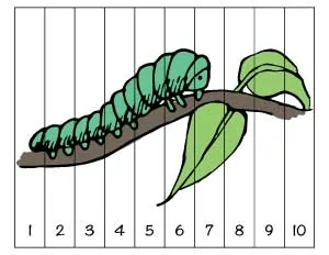 caterpillar-number-sequence-puzzle