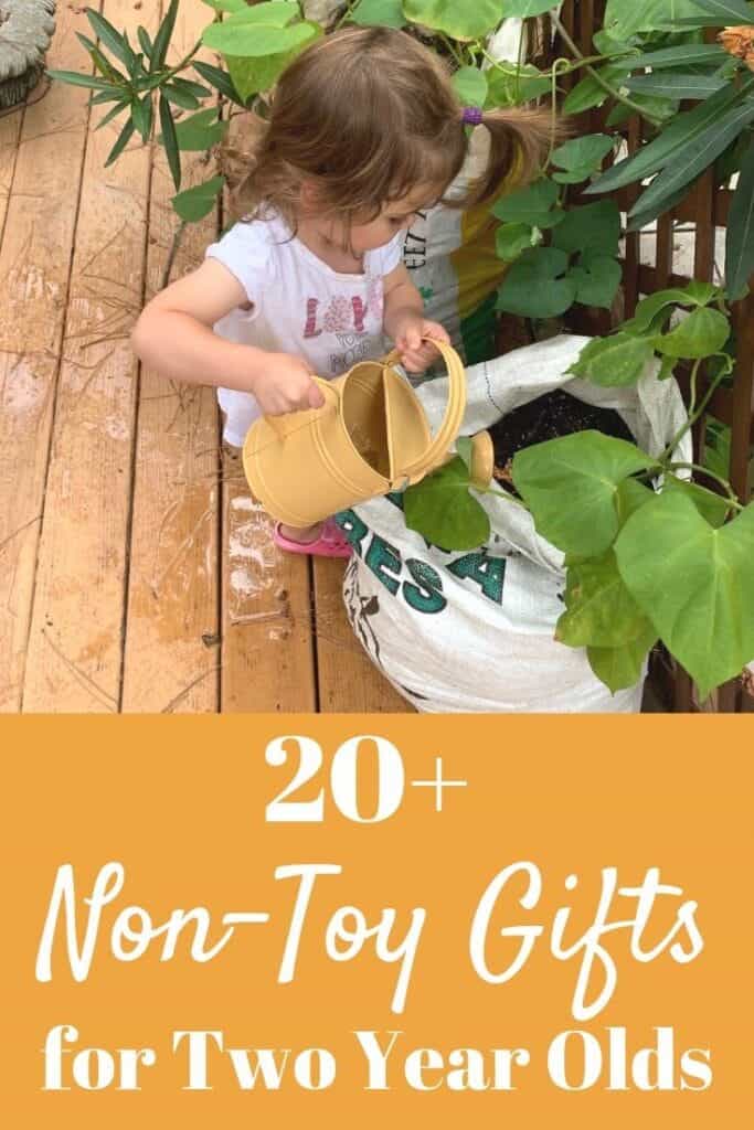 25+ (Toddler Approved) NonToy Gift Ideas for Two Year Olds