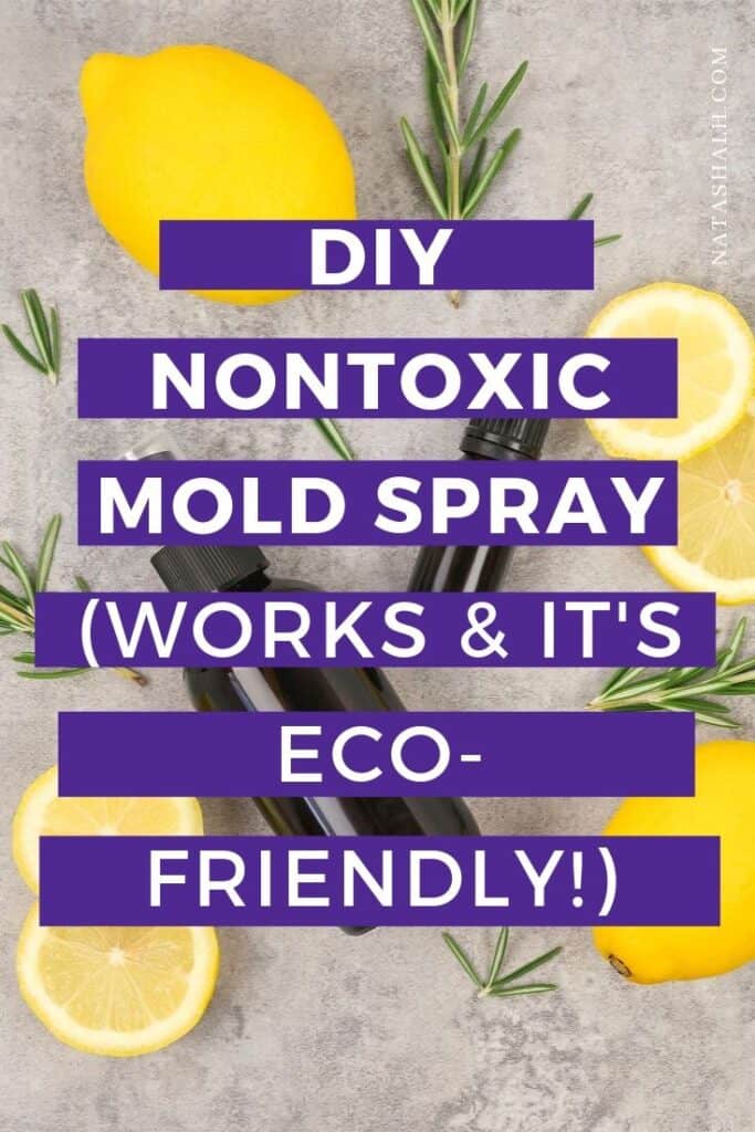 nontoxic mold spray