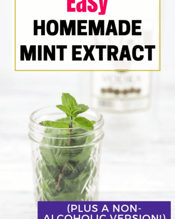 easy homemade mint extract