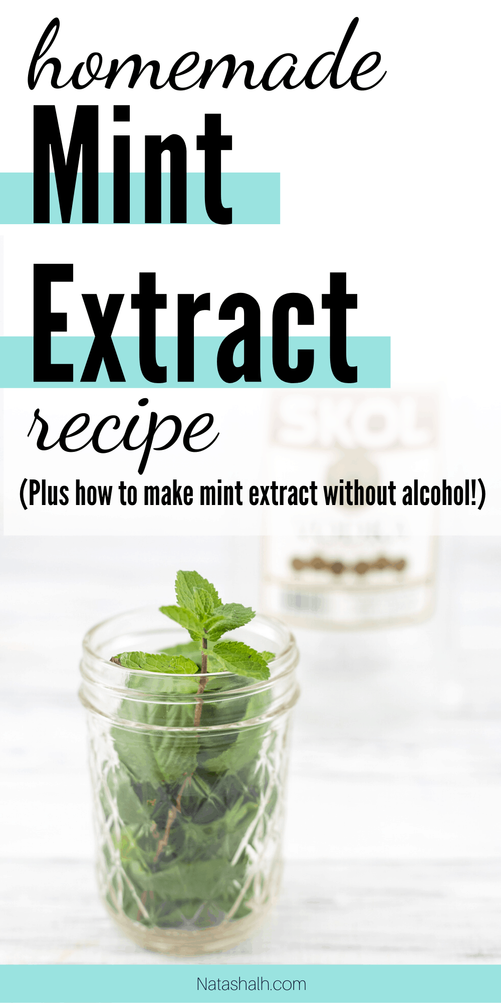Homemade Mint Extract Recipe Easy, quck, & nonalcoholic versions