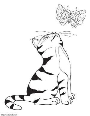 93 Simple Cat Coloring Pages  Latest Free