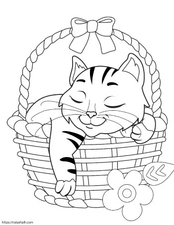 Download Super Cute Cat Coloring Pages Easy No Prep Kids Activity The Artisan Life