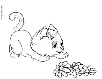 820 Collections Coloring Pages Of Cute Cats  HD