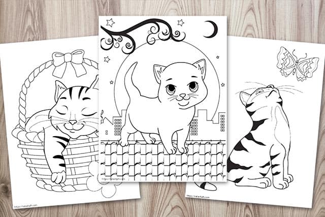 Large Print Easy Color & Frame - Cats (Stress Free Coloring Book) [Book]