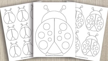 9 Free Printable Ladybug Templates (cute for coloring &amp; crafts!) - The ...