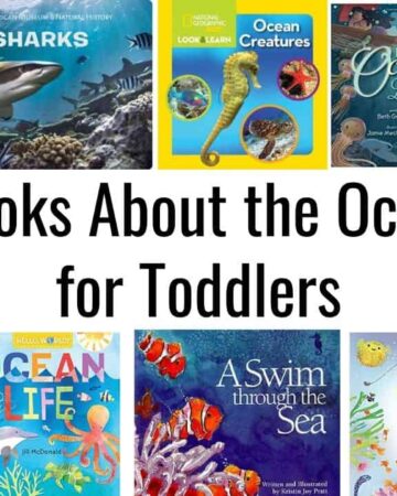 image collage of toddler board books about the ocean with text "books about the ocean for toddlers"
