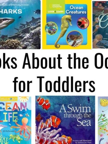 image collage of toddler board books about the ocean with text "books about the ocean for toddlers"