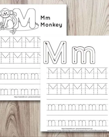 alphabet tracing worksheets the artisan life