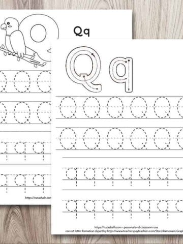 Two letter q tracing worksheets. Both have dotted uppercase and lowercase letter q's to trace. The front page has correct letter formation graphics for uppercase and lowercase q. The page behind has a large bubble Q and a quetzal bird to color.