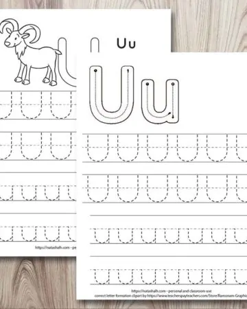 two printable letter u tracing worksheets with uppercase and lowercase letter u's to trace. One worksheet has correct letter formation graphics and the other has a urial goat to color. Both have two lines each of uppercase and lowercase letter u to trace.