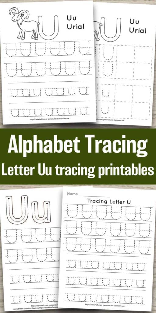 four free letter u tracing printables on a wood background. Each features uppercase and lowercase letter u's to trace in a dotted font. One has correct letter formation graphics and two have a urial goat to color and the text "Uu Ural". In the center of the image is the text "Alphabet tracing - letter Uu tracing printables"