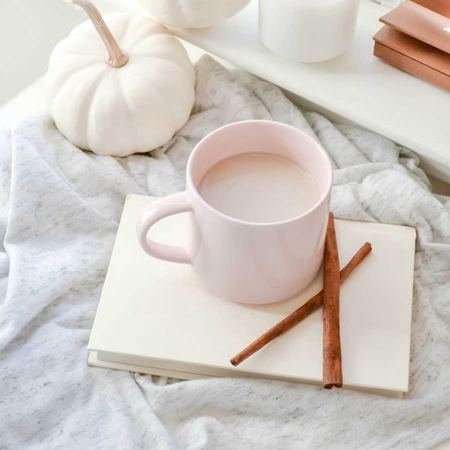 a shot of a cozy journaling scene with two white pumpkins, and a pink mug with hot chocolate resting on a white notebook