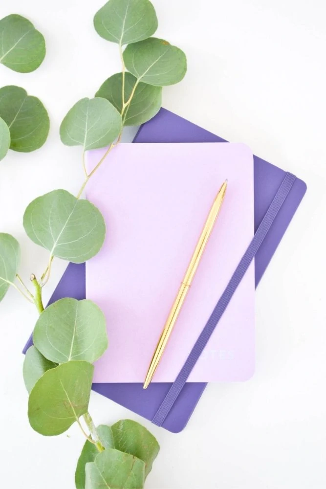 A picture of two purple journals and a gold pen with a piece of greenery on a white surface