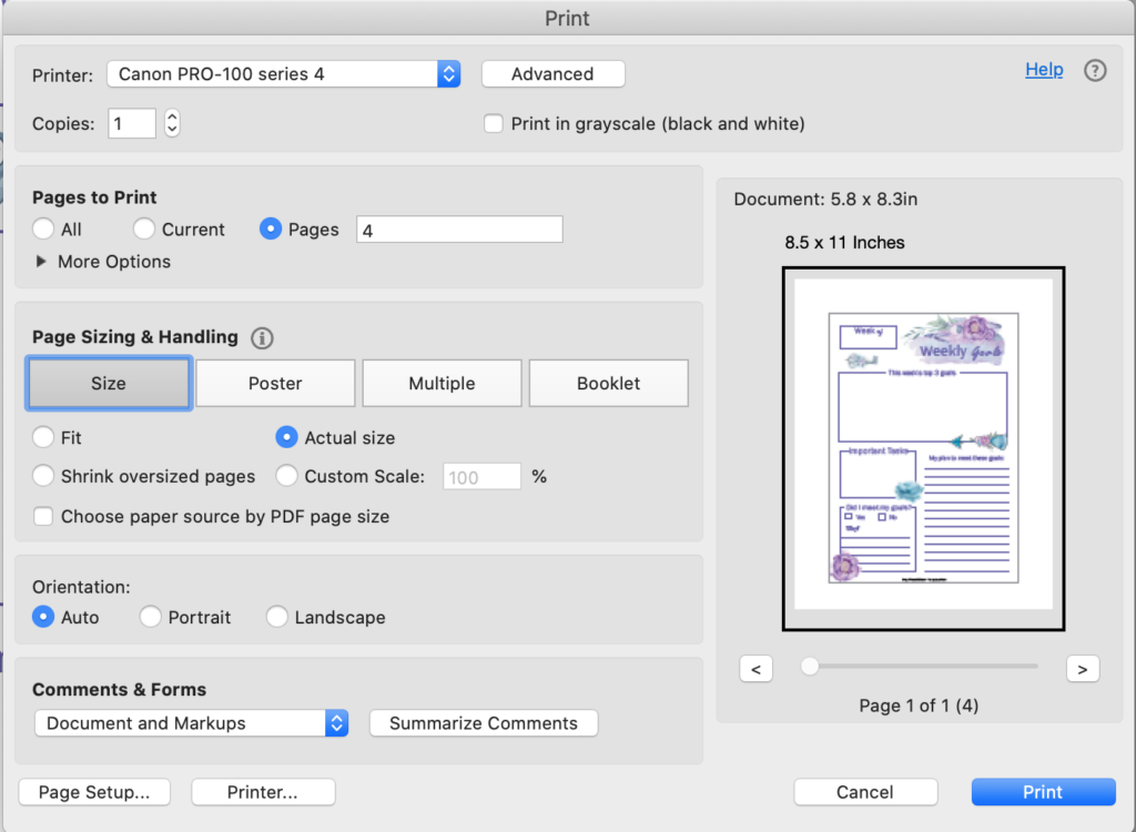 a print dialogue box in Acrobat Reader showing printing at actual size for an A5 sized printable on US letter paper