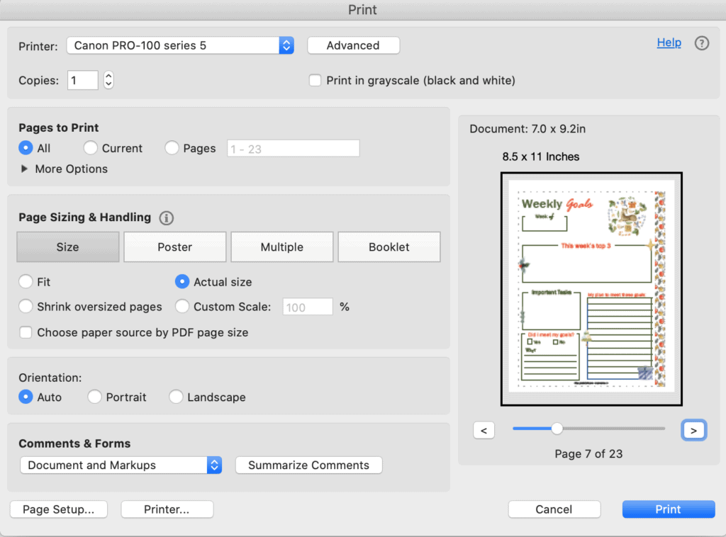 A print dialogue box screenshot from Acrobat reader showing printing a weekly goals planner page for December at actual size