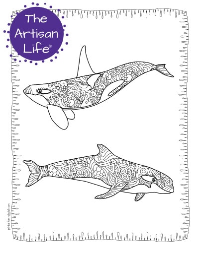 A preview of an orca whale coloring page for adults. The page has two orcas with hand drawn doodles to color and the page is bordered by a doodle frame. A purple round logo reading "the artisan life®" is in the corner.