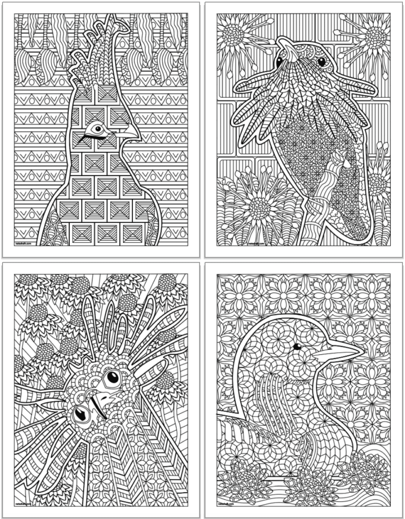 A preview of four printable bird coloring pages for adults with detailed, zen-style illustrations to color. The pages are in a 2x2 grid and include a cockatoo, a hummingbird, a secretary bird, and a goose.