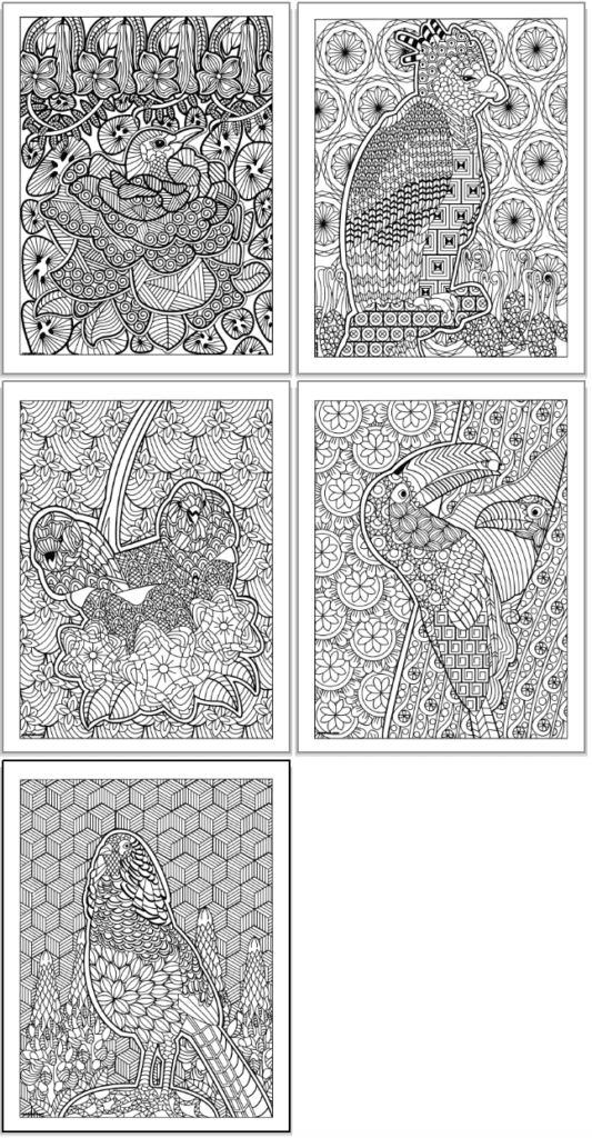 A preview of 5 printable bird coloring pages for adults with detailed, zen-style illustrations to color
