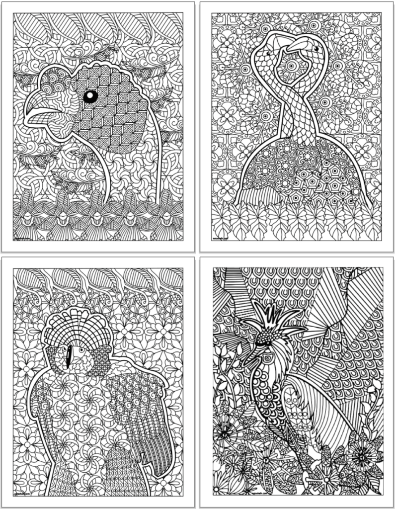 A preview of four printable bird coloring pages for adults with detailed, zen-style illustrations to color. The pages are in a 2x2 grid.