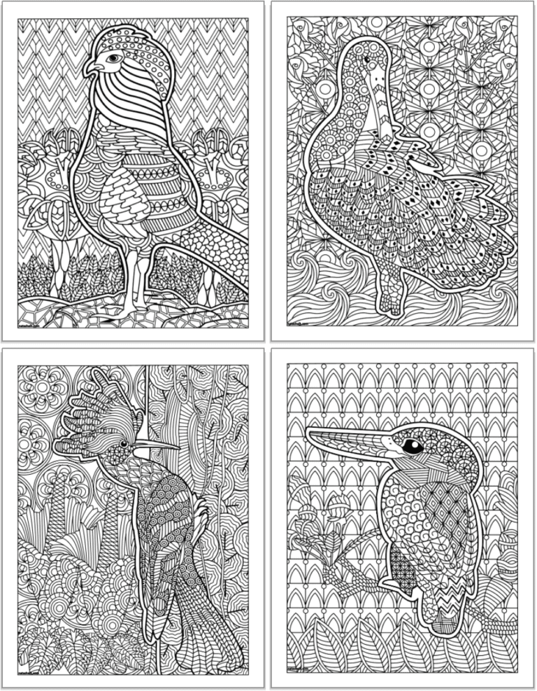 21 Free Printable Bird Coloring Pages for Adults - The Artisan Life