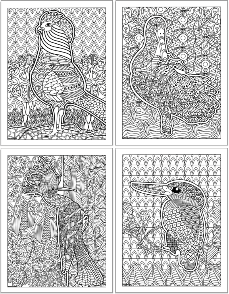 A preview of four printable bird coloring pages for adults with detailed, zen-doodle illustrations and flowers to color. The pages are in a 2x2 grid.