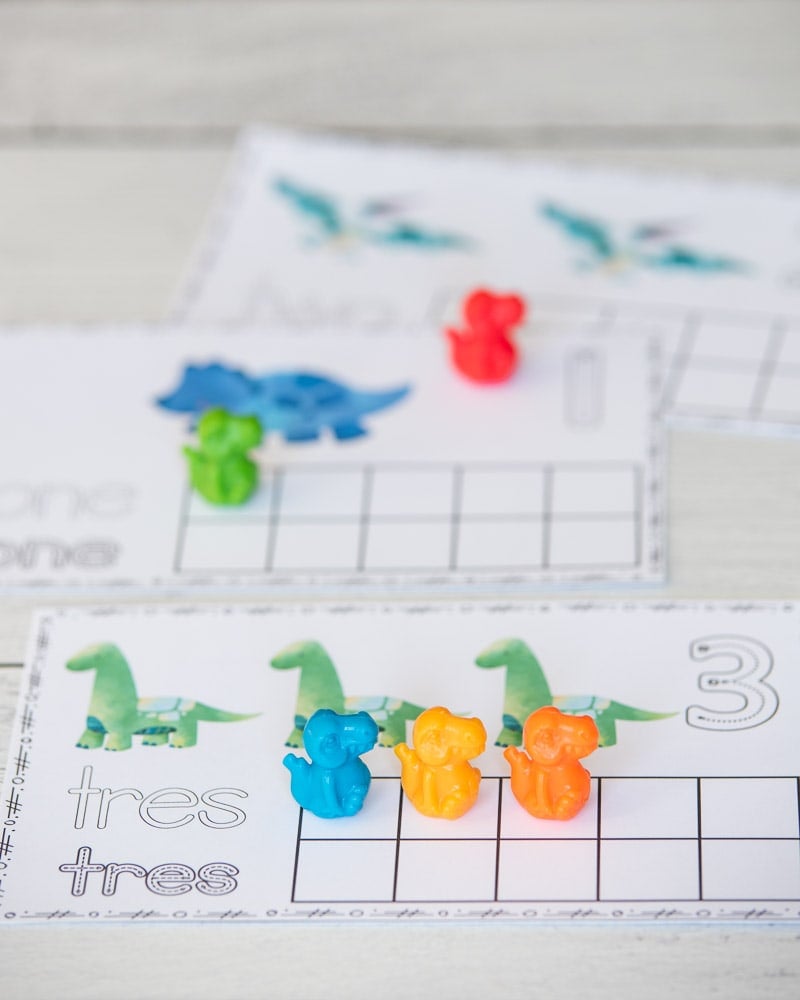 A photograph of free printable dinosaur ten frames in English and Spanish. A card with there dinosaurs and a "3" and "tres" is visible int eh front with three plastic counting dinosaurs. Behind is a counting card with "1" and "one"