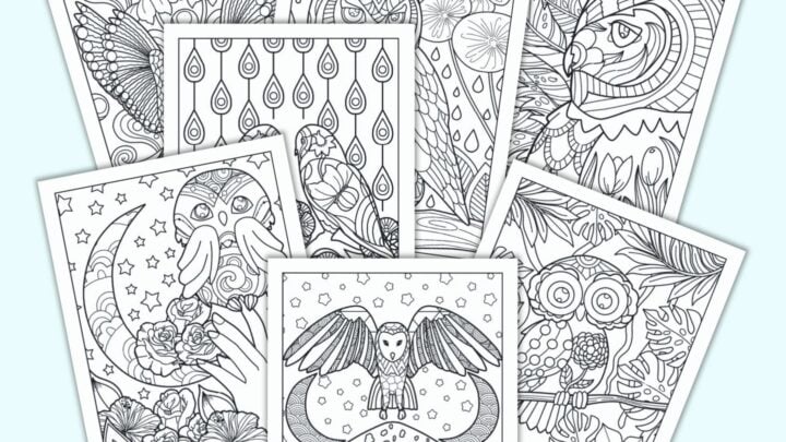 11 days until Spring Training: Let these printable Angels coloring
