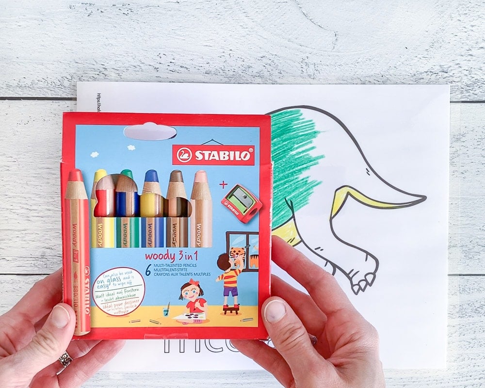 two hands holding a red box for Stabilo woody colored pencils over a partially colored dinosaur coloring page