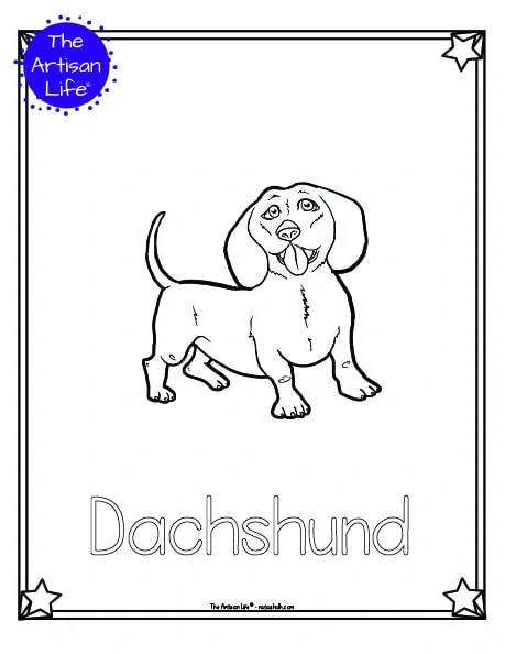 A preview of a printable dog breed coloring page with a dachshund. The dog breed's name is below the coloring image and there is a doodle frame to color around the edge of the page. 