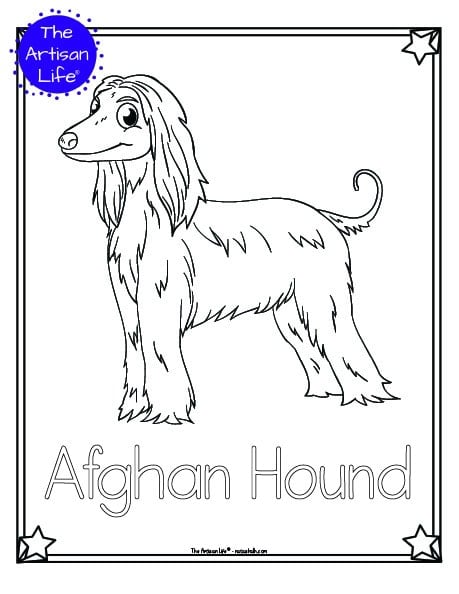 A preview of a printable dog breed coloring page with an Afghan Hound. The dog breed's name is below the coloring image and there is a doodle frame to color around the edge of the page. 