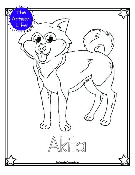 A preview of a printable dog breed coloring page with an Akita. The dog breed's name is below the coloring image and there is a doodle frame to color around the edge of the page. 