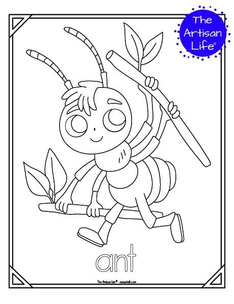 A cute insect coloring page for children with a doodle frame, an ant to color, and "ant" in a  bubble font to color