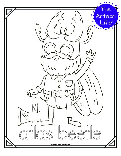A cute insect coloring page for children with a doodle frame, an atlas beetle to color, and "atlas beetle" in a bubble font to color