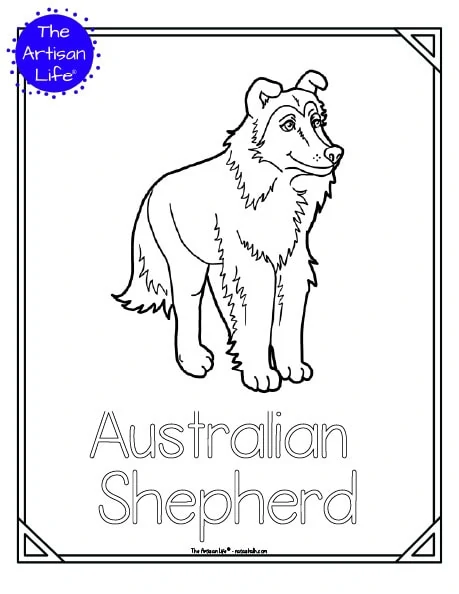A preview of a printable dog breed coloring page with an Australian Shepherd. The dog breed's name is below the coloring image and there is a doodle frame to color around the edge of the page. 
