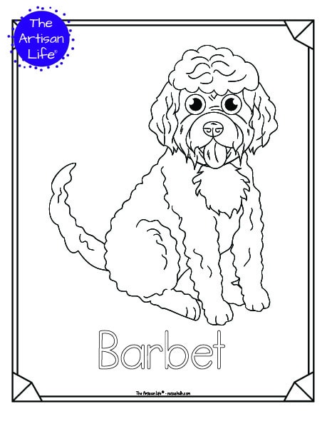 A preview of a printable dog breed coloring page with a Barbet. The dog breed's name is below the coloring image and there is a doodle frame to color around the edge of the page. 