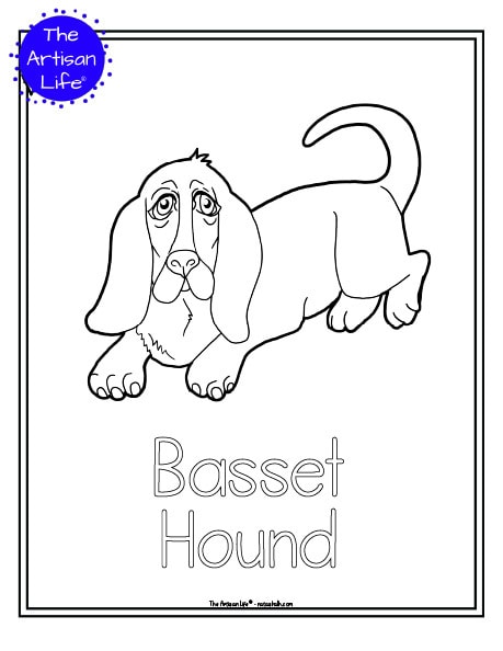 A preview of a printable dog breed coloring page with a basset hound to color. The dog breed's name is below the coloring image and there is a doodle frame to color around the edge of the page. 