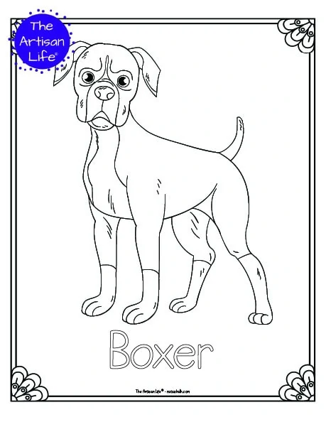 boxer dog coloring pages