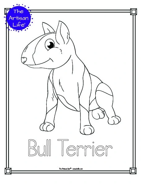 A preview of a printable dog breed coloring page with a bull terrier. The dog breed's name is below the coloring image and there is a doodle frame to color around the edge of the page. 