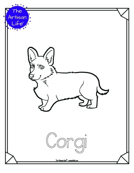 A preview of a printable dog breed coloring page with a cute corgi. The dog breed's name is below the coloring image and there is a doodle frame to color around the edge of the page. 