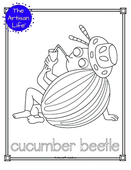 A cute insect coloring page for children with a doodle frame, a cute cucumber beetle to color, and "cucumber beetle" in a bubble font to color