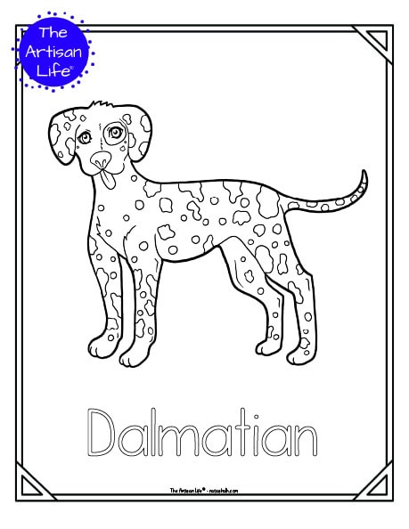 A preview of a printable dog breed coloring page with a Dalmatian to color. The dog breed's name is below the coloring image and there is a doodle frame to color around the edge of the page. 