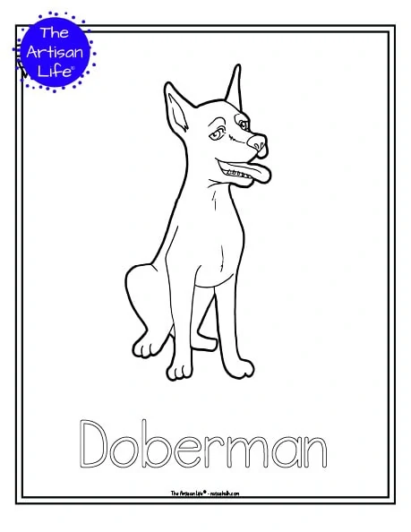 doberman coloring pages