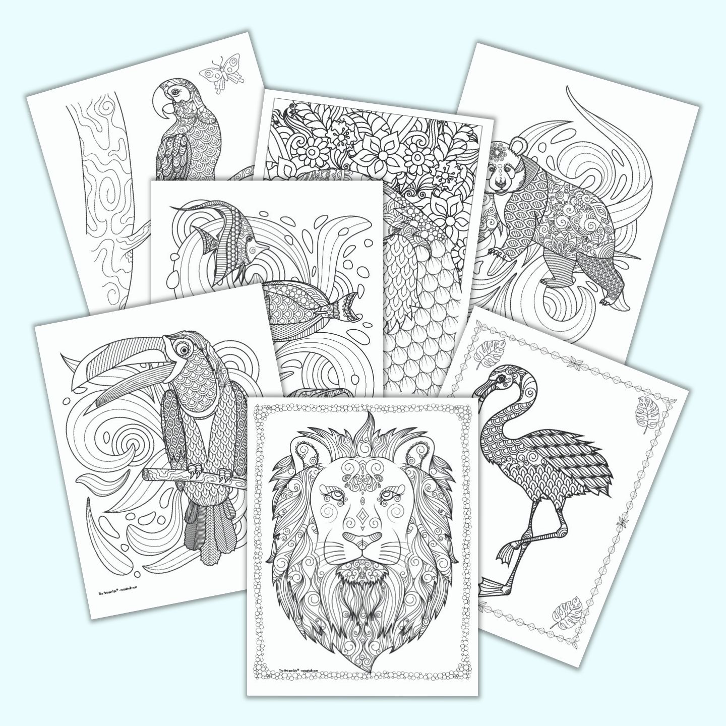 Coloring pages of detailed animals