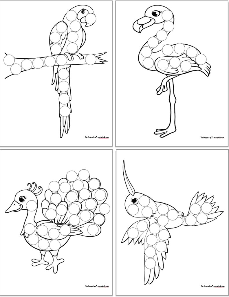 A 2x2 grid with four printable children's do a dot coloring pages. Each page has a tropical bird covered in blank circles to dot in or cover with stickers. Birds include parrot, flamingo, peacock, and honeycreeper