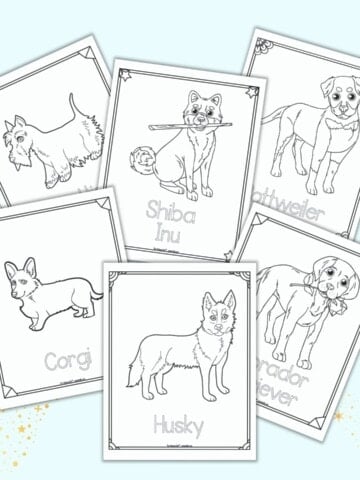 Six printable dog breed coloring pages. Each page has a dog coloring image, a doodle frame, and the dog breed's name. Dogs include: husky, corgi, Scottish terrier, shiba inu, Rottweiler, and a lab